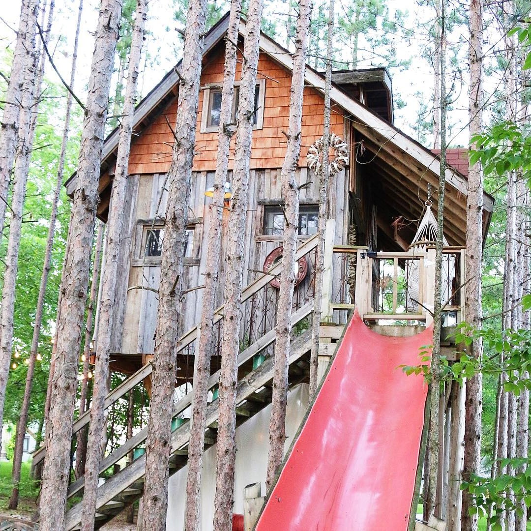 Дом на дереве - фото 9
