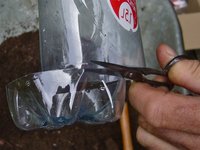 Вертикальный сад из пластиковых бутылок - фото 2