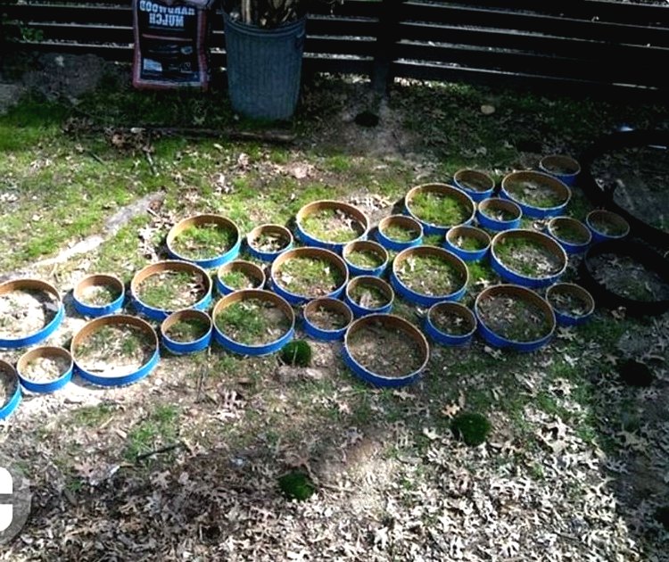 Необычная дорожка для сада - фото 4