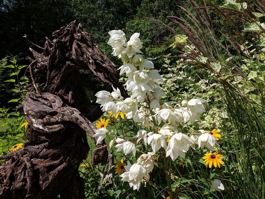 Скульптура лошади из коряг - фото 14