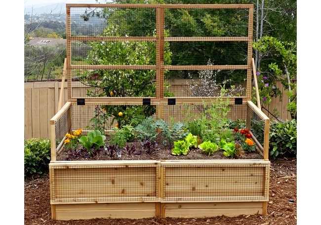 Необычная высокая грядка  - фото 5