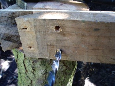 Клумба из веток - фото 5