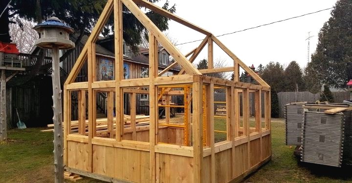 Теплица из кедрового дерева 4*4 метра - фото 6