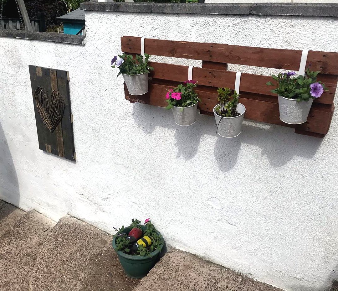 Оригинальные идеи для вертикального сада - фото 2