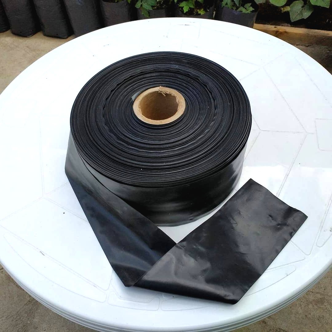 В чем выращивать рассаду - фото 2