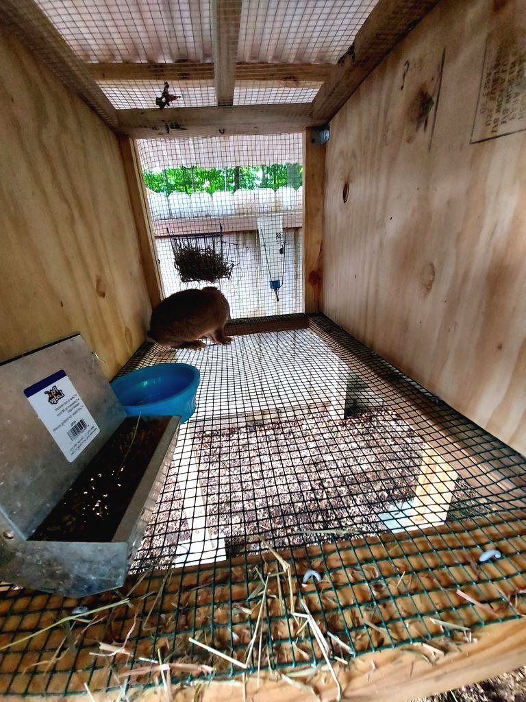 Клетки для кроликов своими руками - фото 11