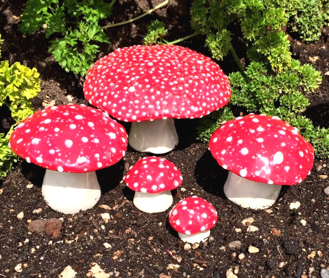 Грибочки на вашей даче - фото 6