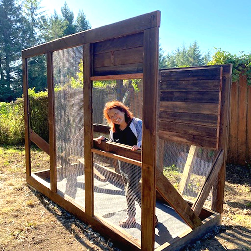 Небольшой летний курятник или домик для 5 – 10 кур - фото 6