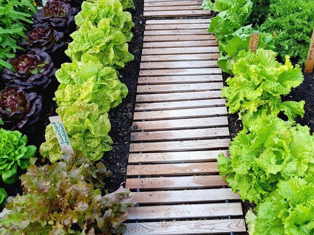 Садовые дорожки на скорую руку - фото 3