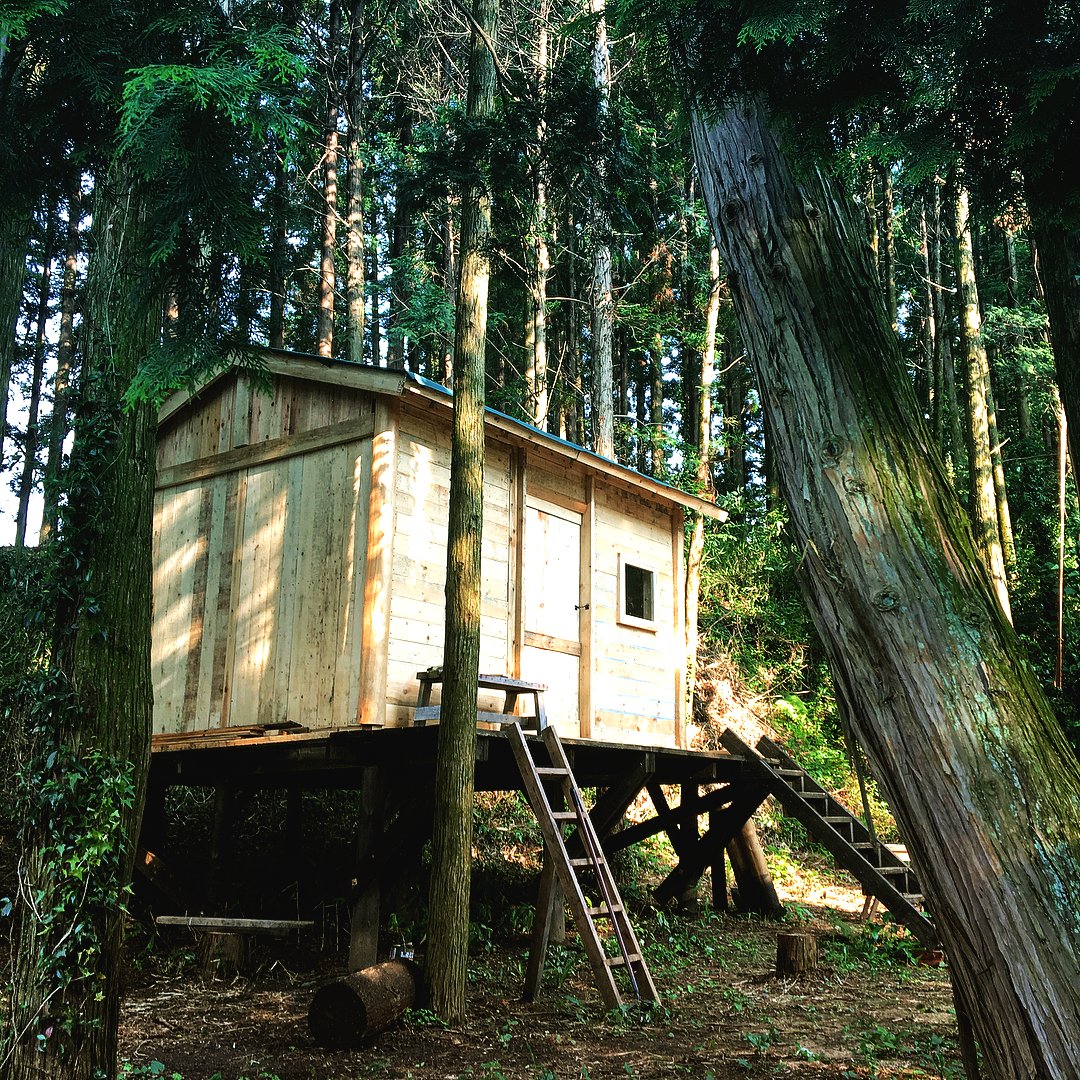 Хижина в лесу на деревянных столбах - фото 14