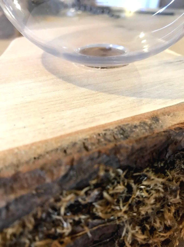 Настольная лампа - фото 18