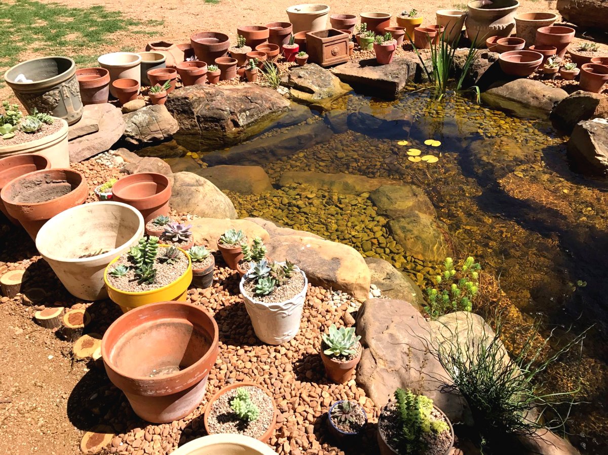 Небольшой пруд для дачи - фото 6