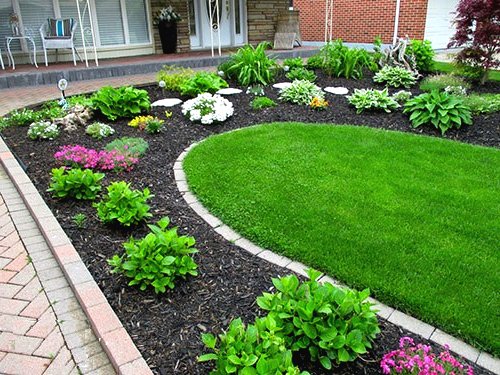 Улучшаем участок перед домом  - фото 10