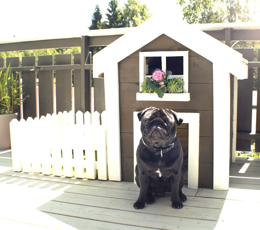 Необычные будки для собаки - фото 9