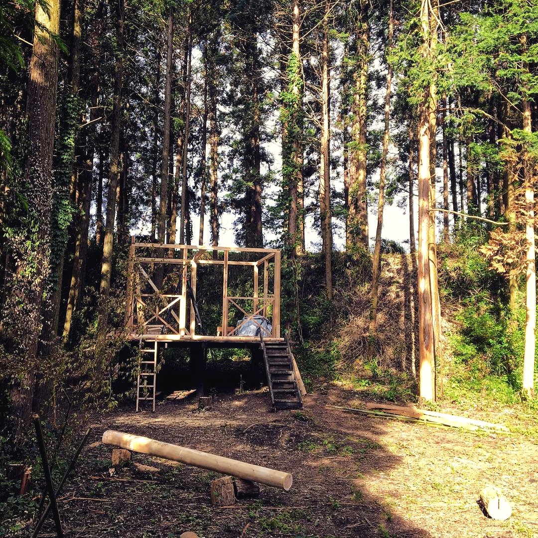 Хижина в лесу на деревянных столбах - фото 8