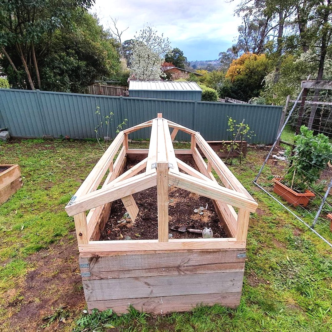 Высока грядка с защитой от улиток - фото 6