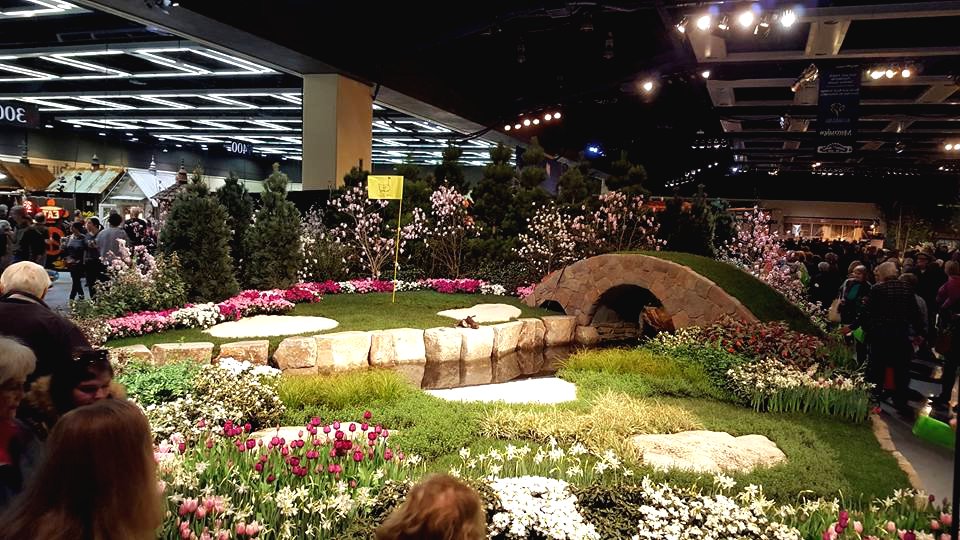 Пример ландшафтного дизайна небольшого участка - фото 5