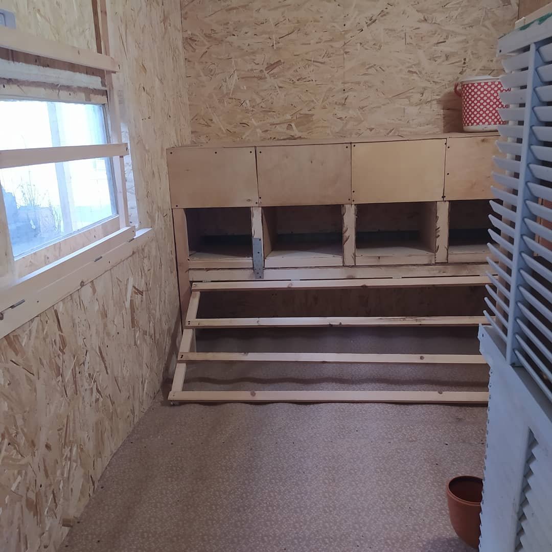 Курятник - фото 10