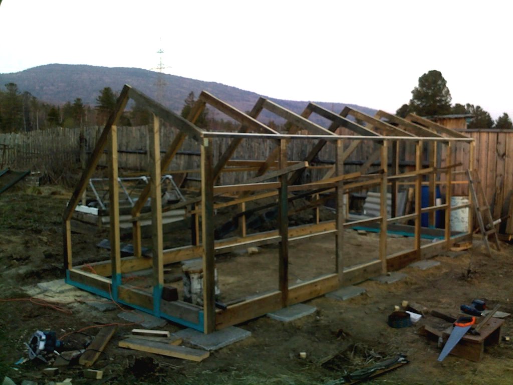 Интересная теплица из поликарбоната - фото 4