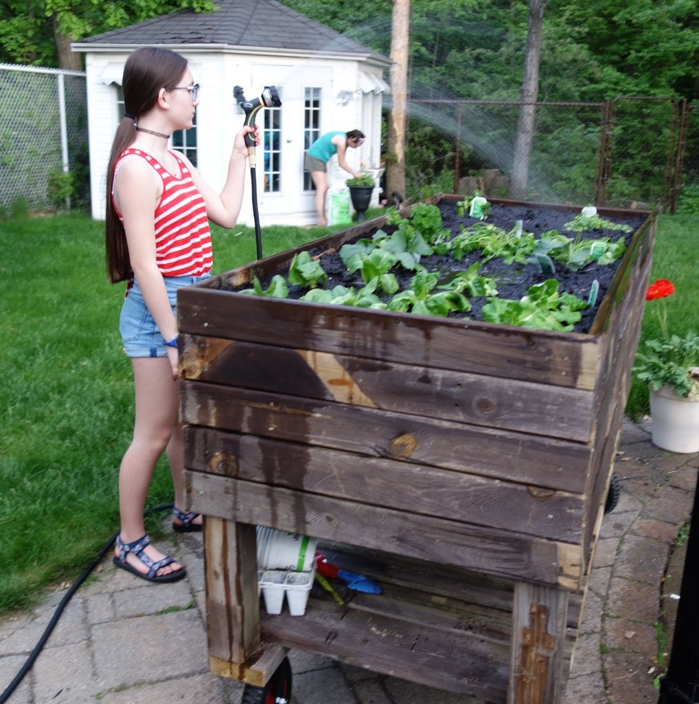 Грядка на колесах - фото 8