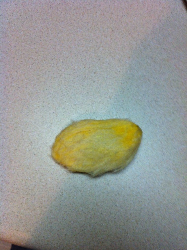 Как вырастить манговое дерево - фото 3