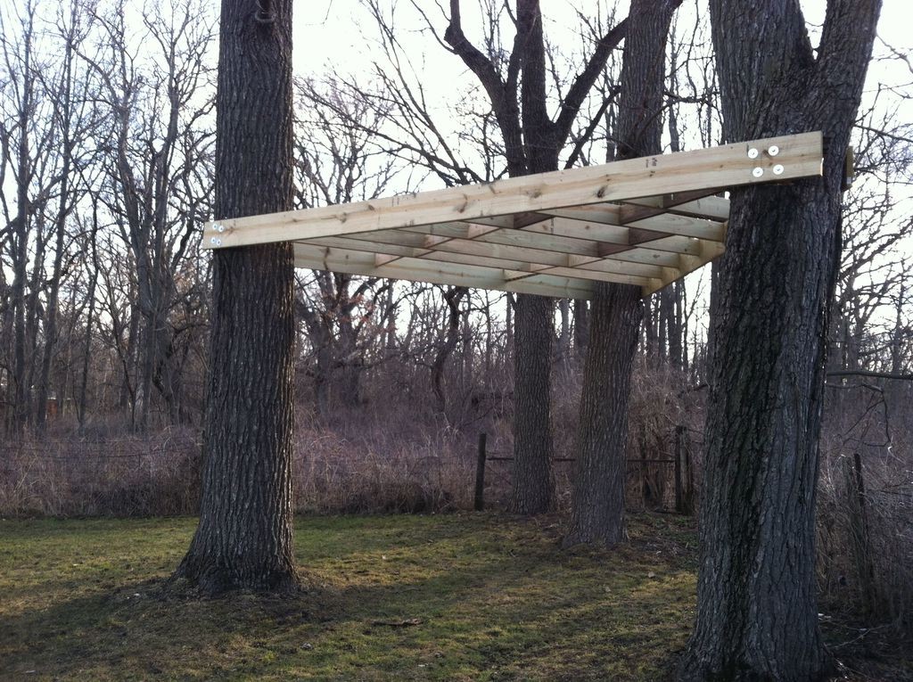 Дом на дереве - фото 6