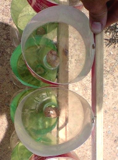 Вертикальный сад из пластиковых бутылок - фото 5