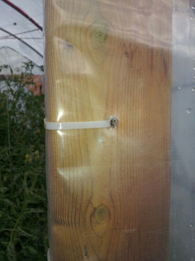 Теплица для Севера - фото 16