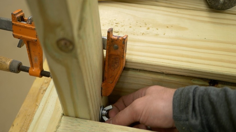 Большая рогатка на заднем дворе - фото 7