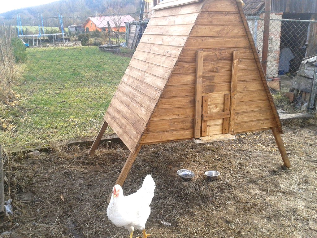 Летний курятник на 5 кур своими руками - фото 10