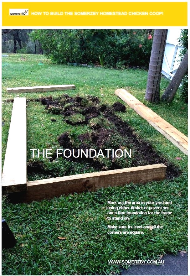 Курятник своими руками на 10 кур с выгулом - фото 2