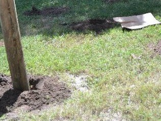 Детский дом на столбах со стеной для скалолазания - фото 4