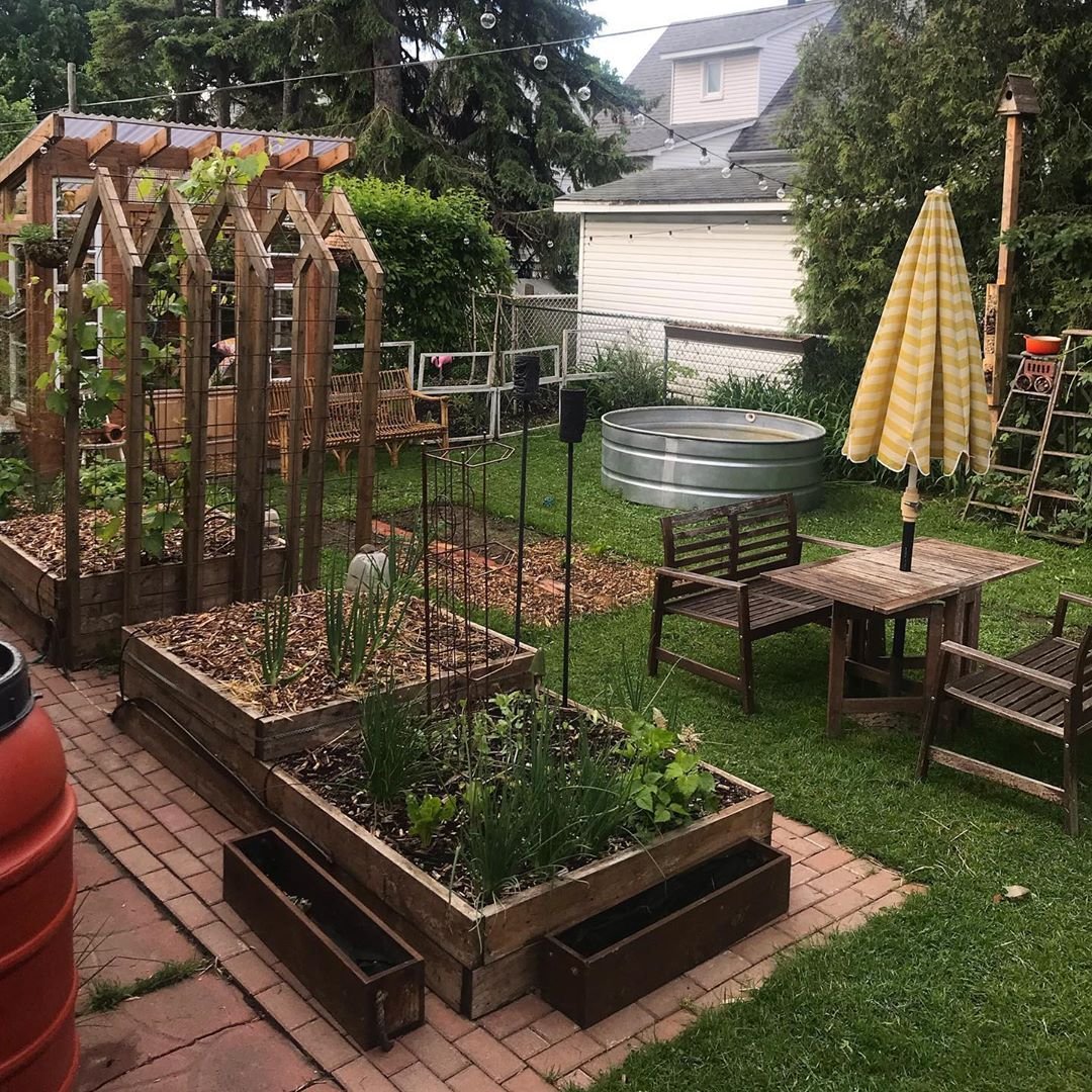 Красивая садовая арка из дерева и железной сетки - фото 5