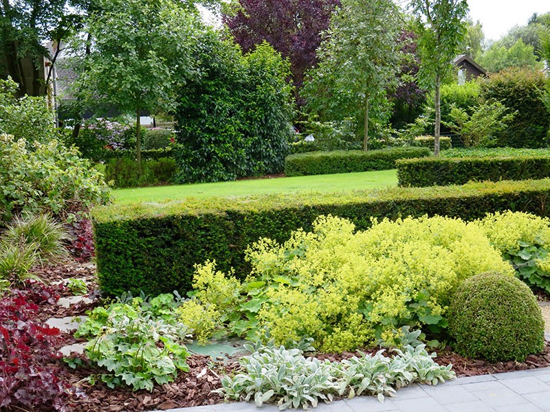 Естественный пруд - фото 11