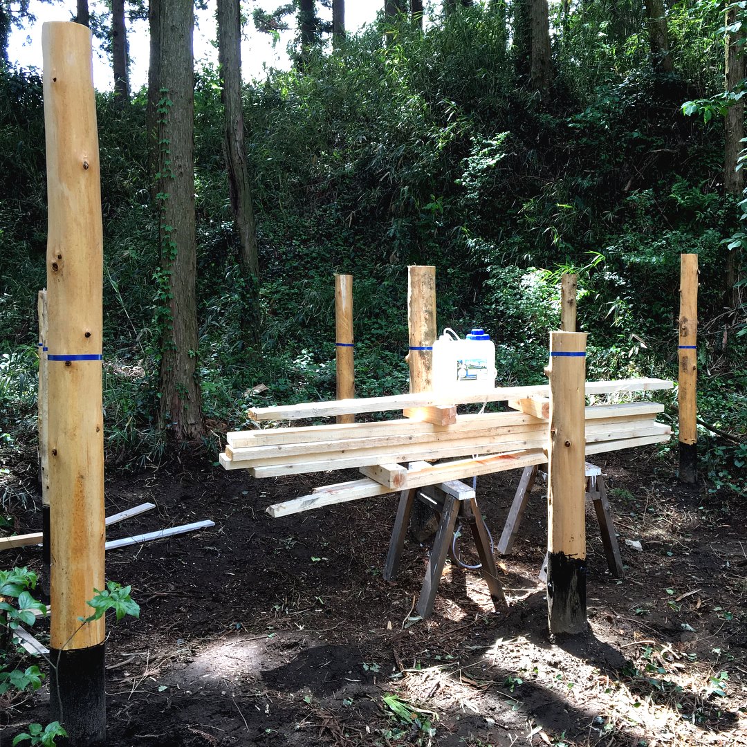 Хижина в лесу на деревянных столбах - фото 3