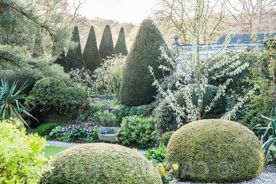 Йоркские ворота - дизайн сада - фото 12