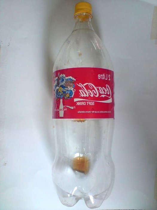 Вертикальный сад из пластиковых бутылок - фото 2