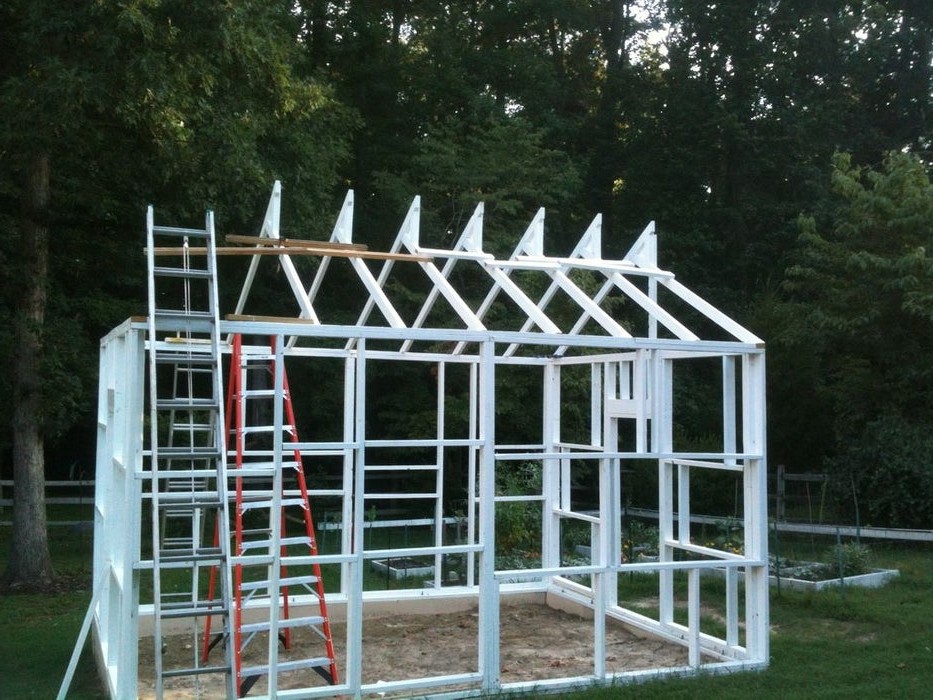 Оранжерея - фото 14