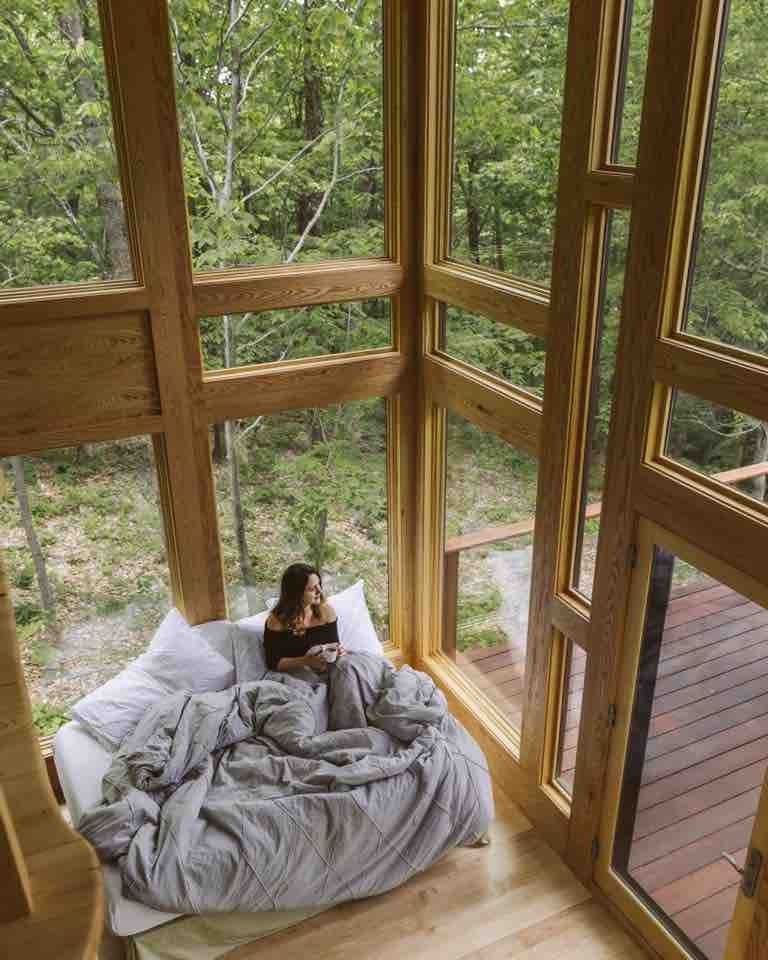 Дом на дереве - фото 2