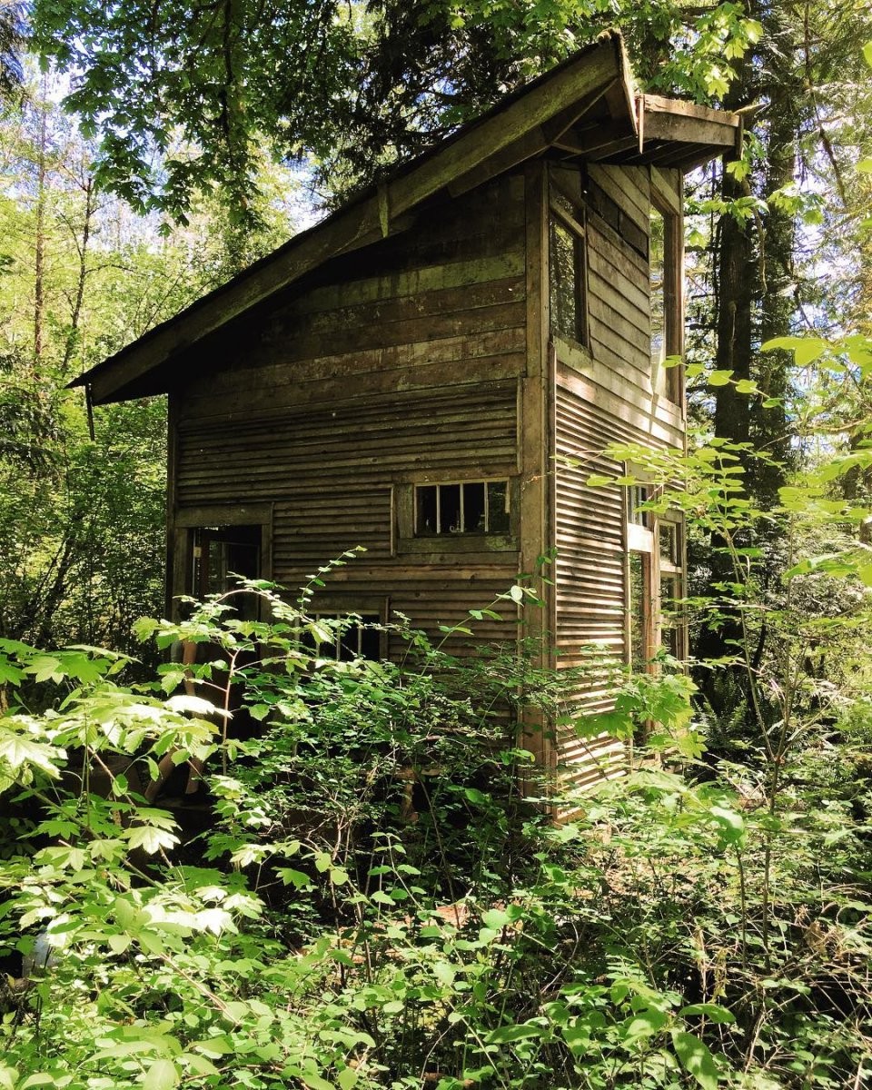 Дом с односкатной крышей - фото 9