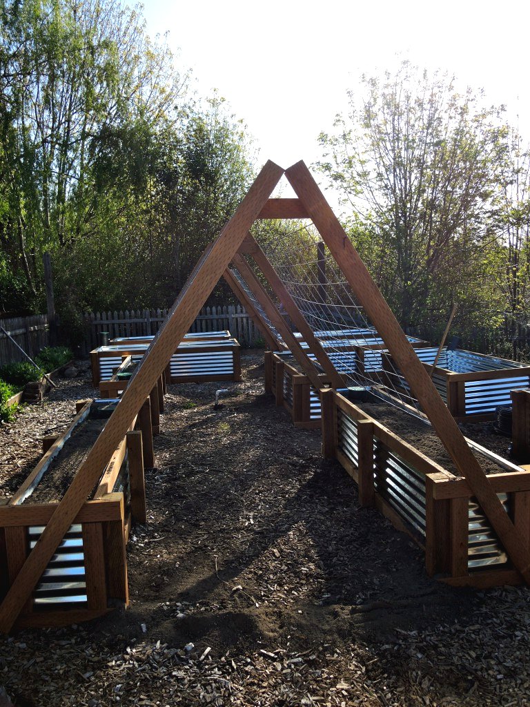 Грядки для огурцов и фасоли - фото 3