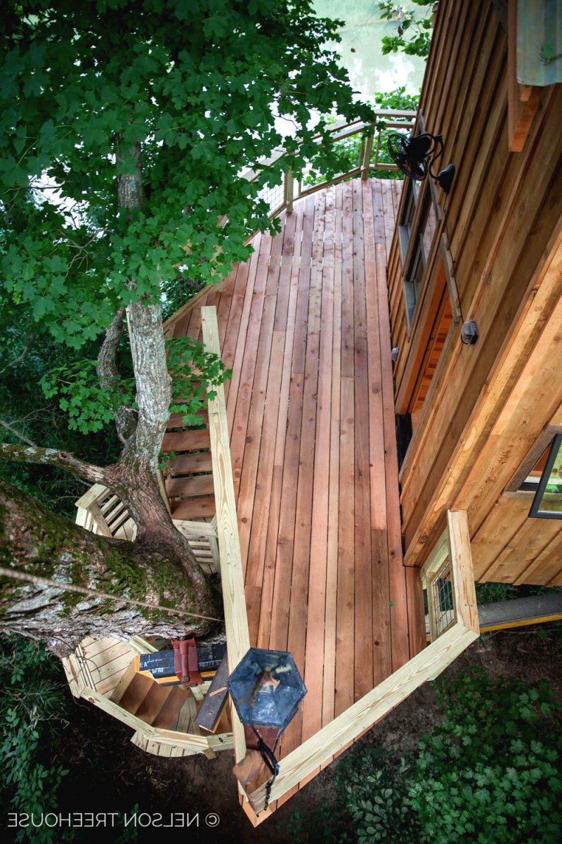 Домик на дереве - фото 9