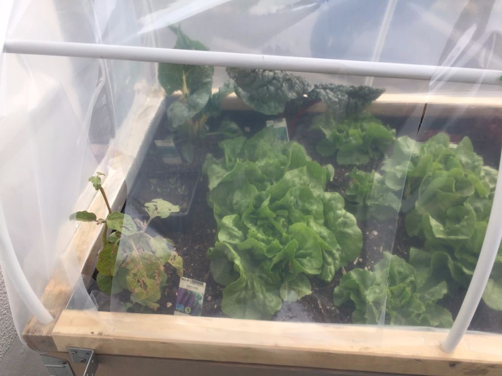 Небольшая теплица - фото 9