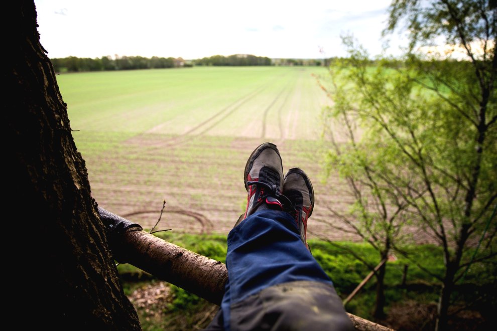 Оригинальный домик на дереве - фото 6