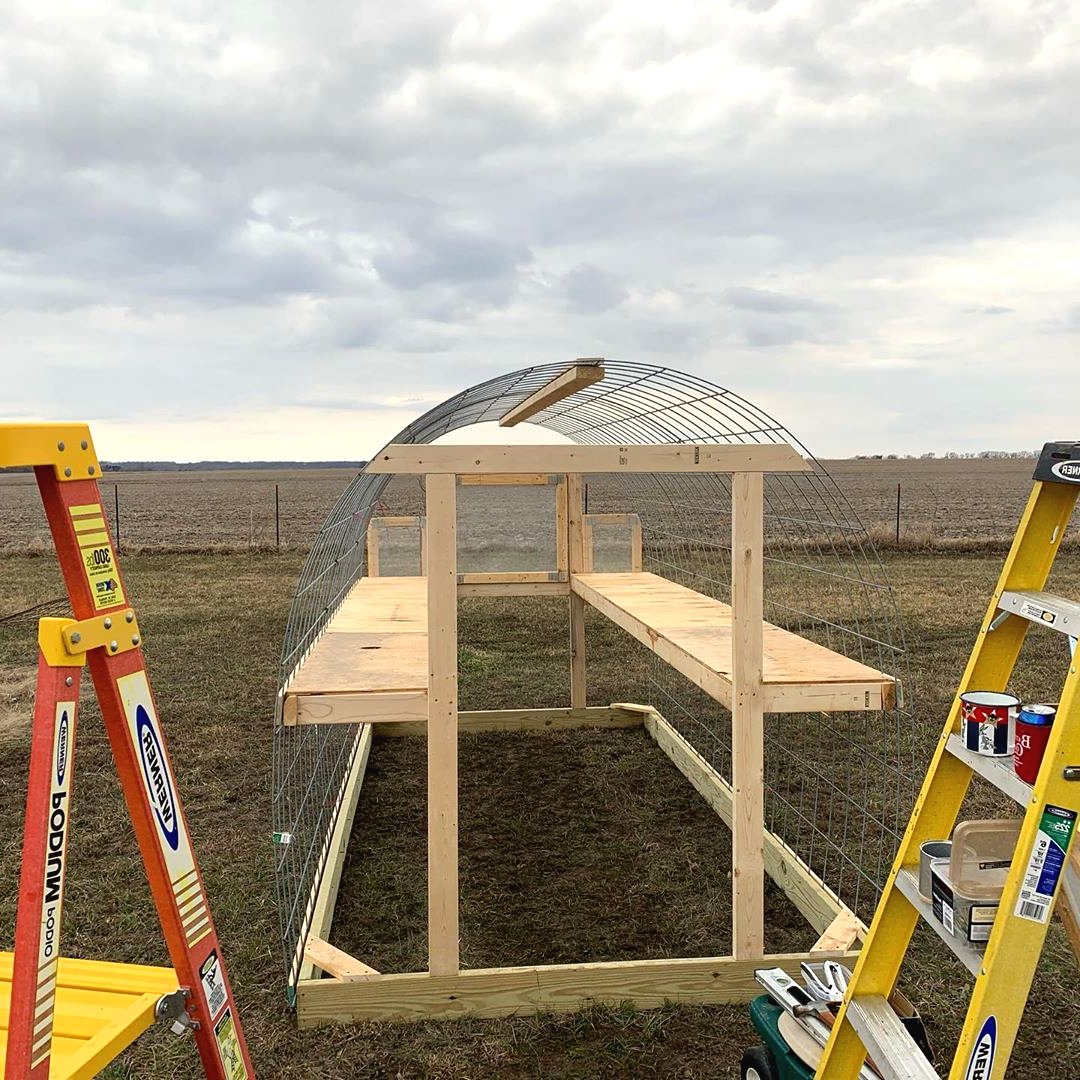 Временная теплица из дерева и железной сетки - фото 6