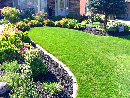 Улучшаем участок перед домом  - фото 12