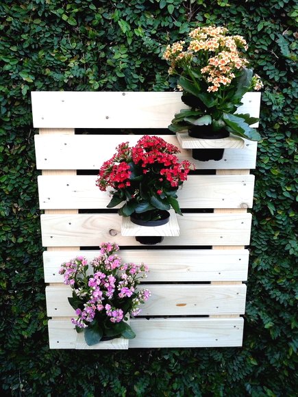 Вертикальный сад из горшков - фото 3