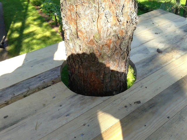 Детский деревянный домик на дереве - фото 4