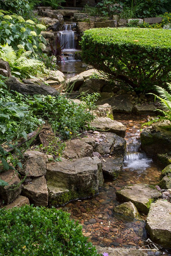 Пруд с водопадами - фото 3