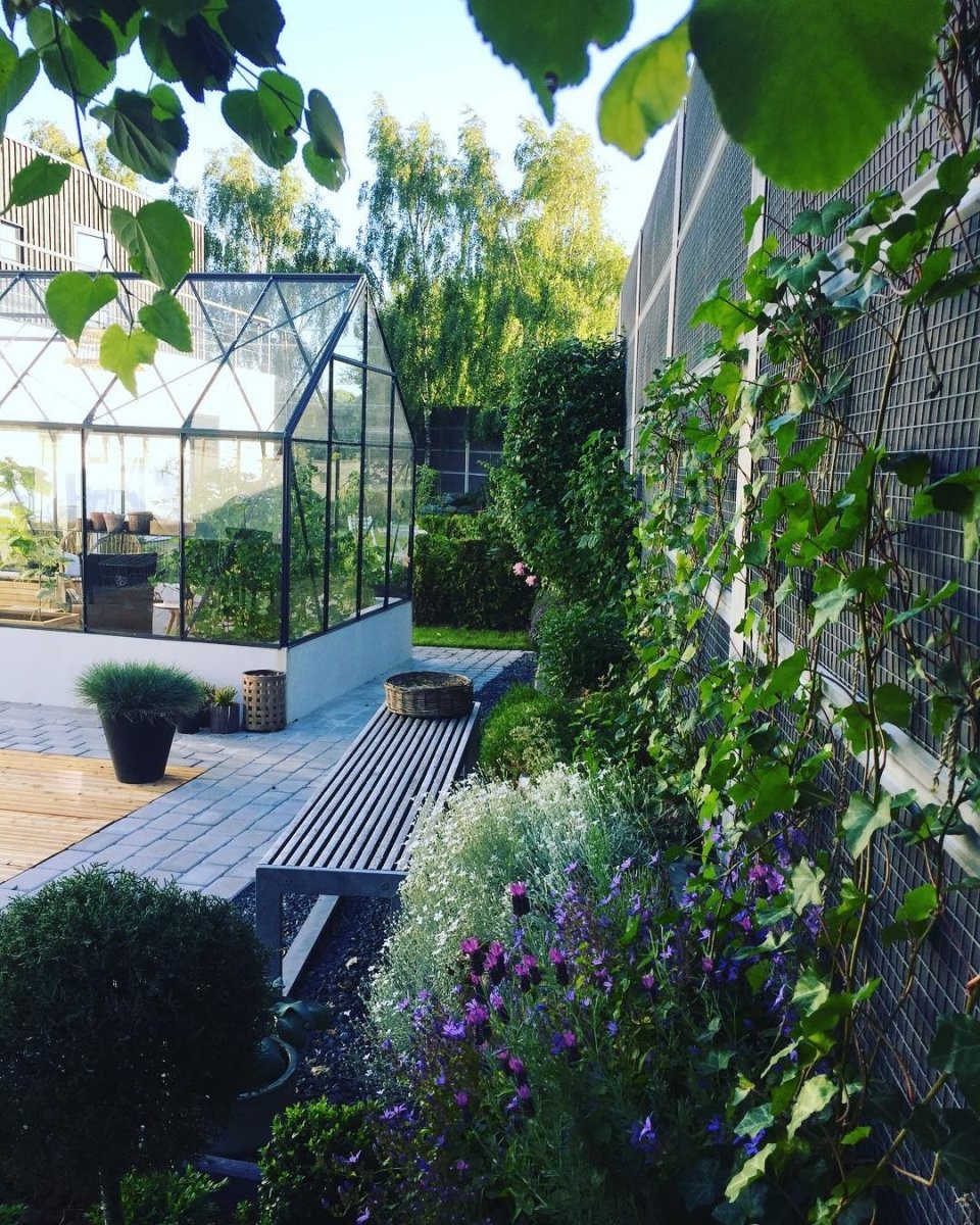 Оранжерея - фото 2